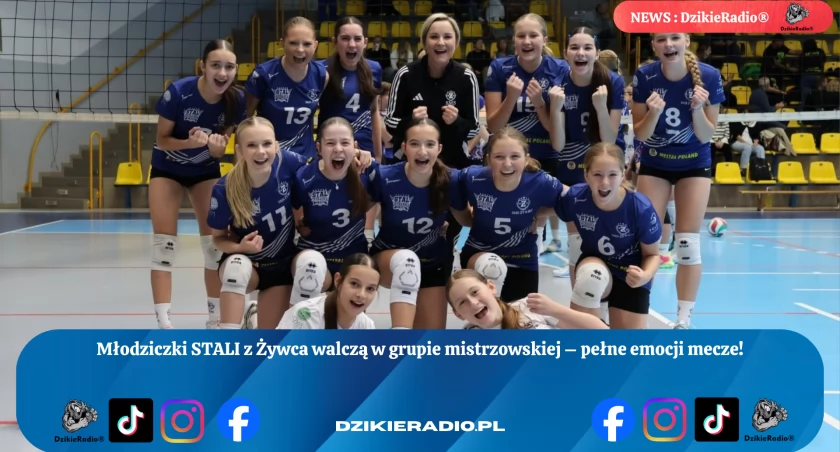fot. TS Stal Śrubiarnia /piłka siatkowa 