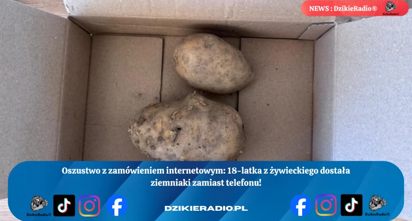 Fot: Policja W Żywcu