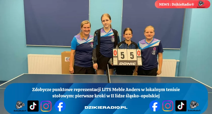Fot. LITS Meble Anders Żywiec