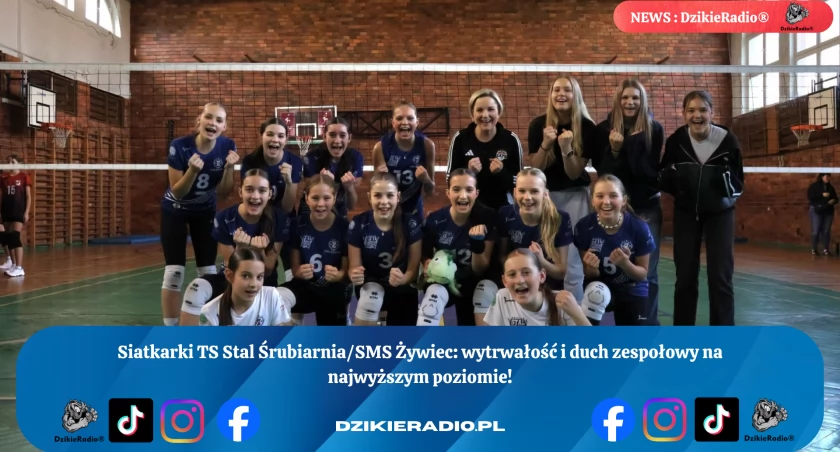 Fot. TS Stal Śrubiarnia / SMS Żywiec - piłka siatkowa