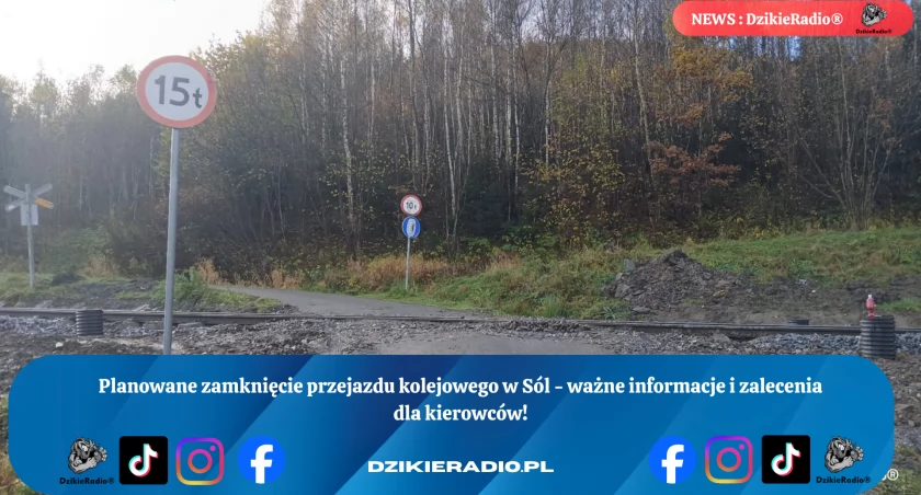 Fot: DzikieRadio®