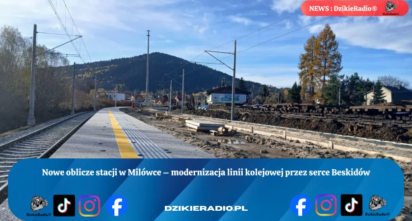 Fot: DzikieRadio