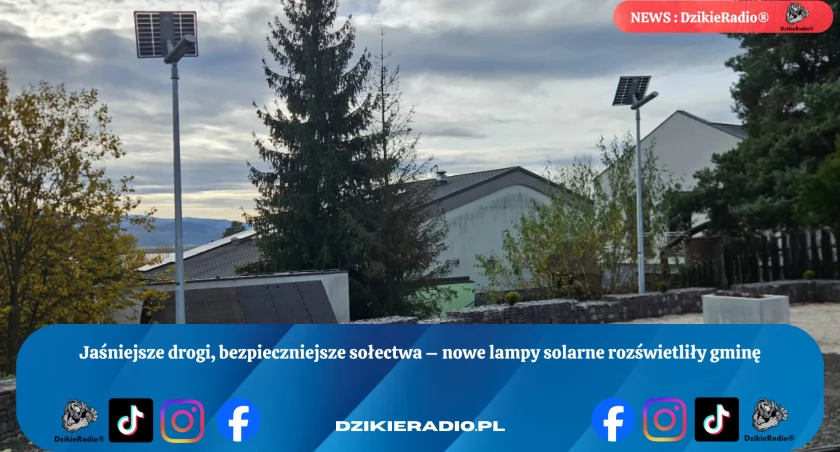 Fot: DzikieRadio