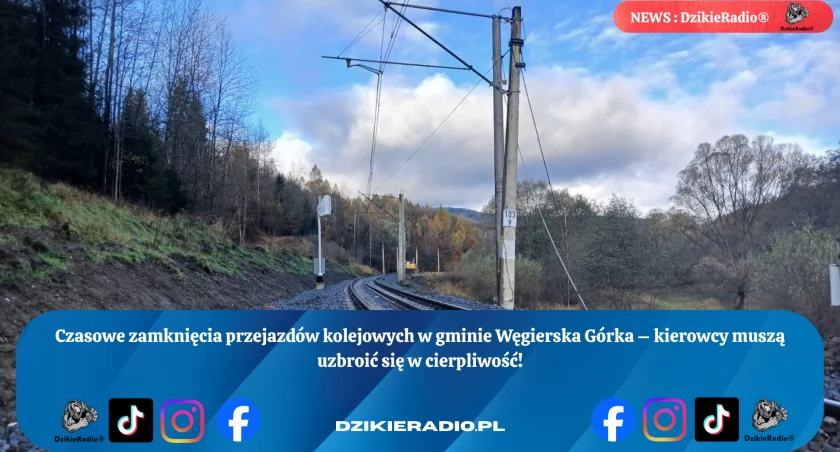 Fot: DzikieRadio®