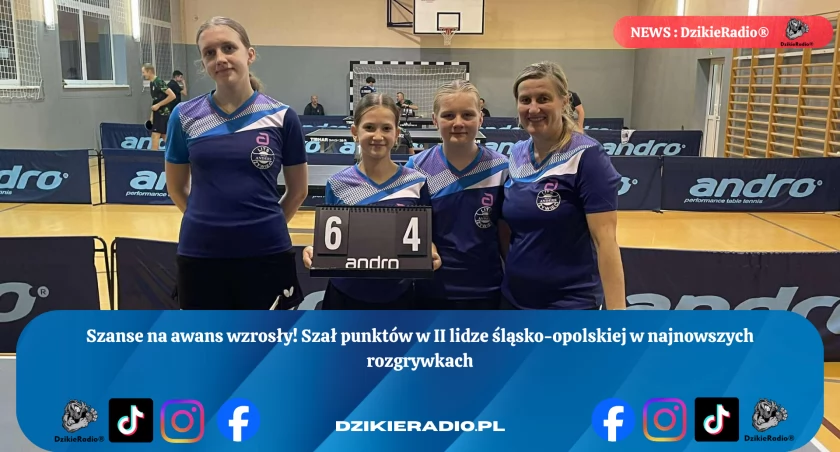 Fot. LITS Meble Anders Żywiec