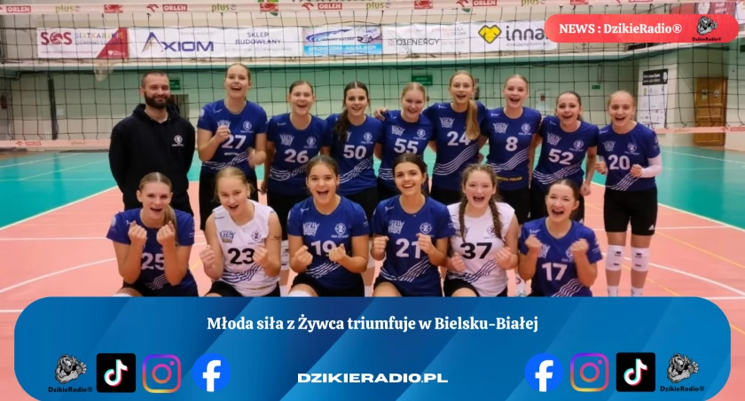 Fot. TS Stal Śrubiarnia / SMS Żywiec - piłka siatkowa