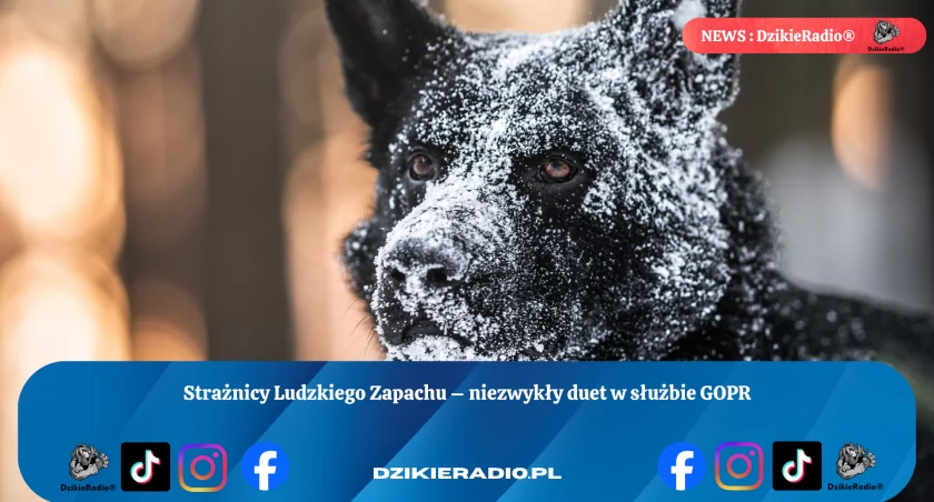 Fot: GOPR Beskidy 
