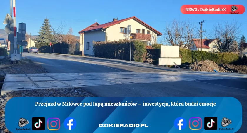 Fot: DzikieRadio®