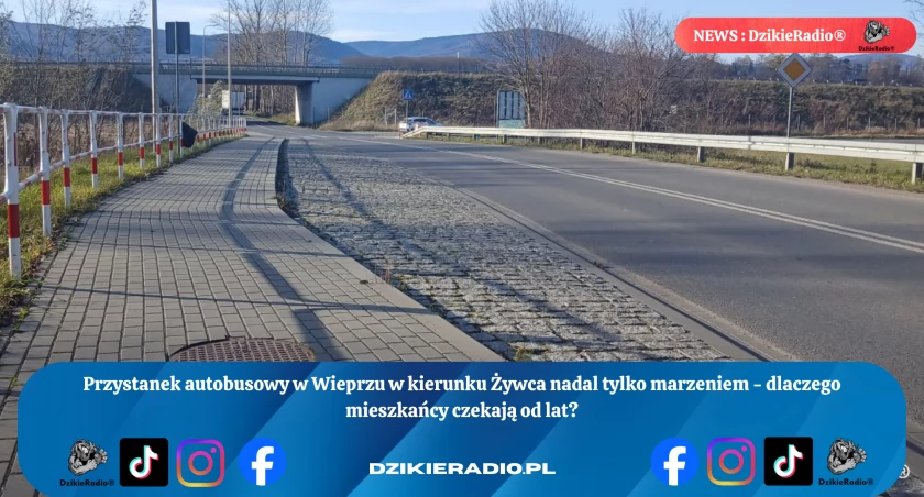 Fot: DzikieRadio®