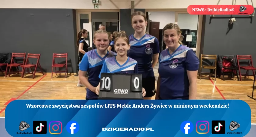 Fot. LITS Meble Anders Żywiec