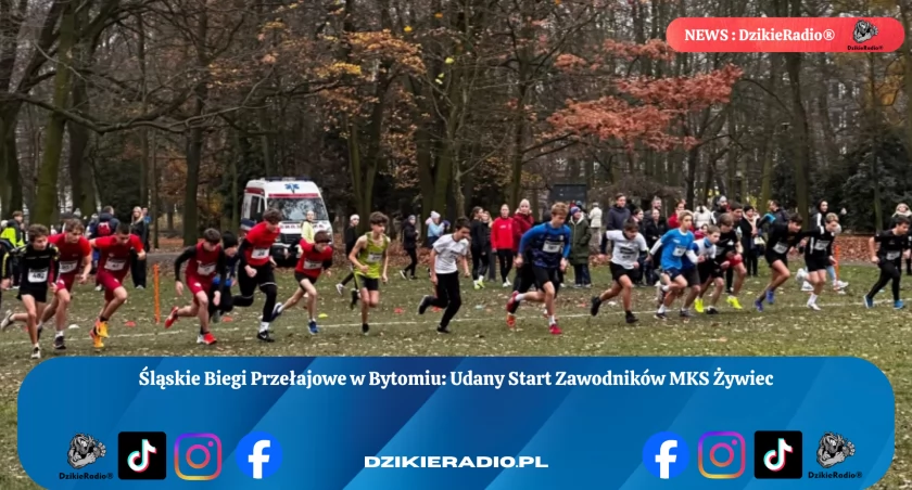 Fot. MKS Żywiec - Lekkoatletyka