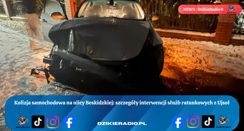 Fot: Ochotnicza Straż Pożarna w Ujsołach 