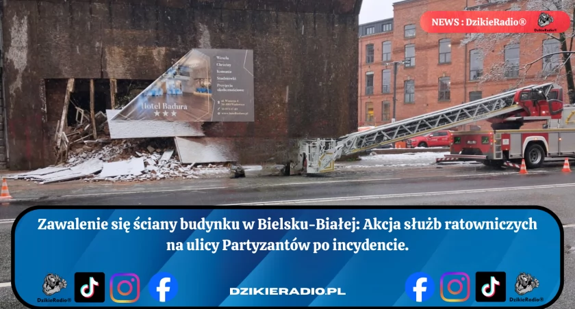 Fot: DzikieRadio®