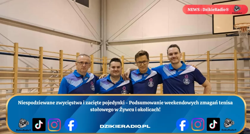 Fot. LITS Meble Anders Żywiec