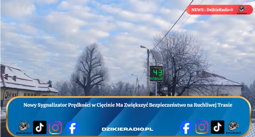 Fot: DzikieRadio®