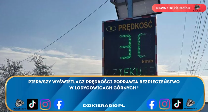 Fot. Dzikieradio.pl