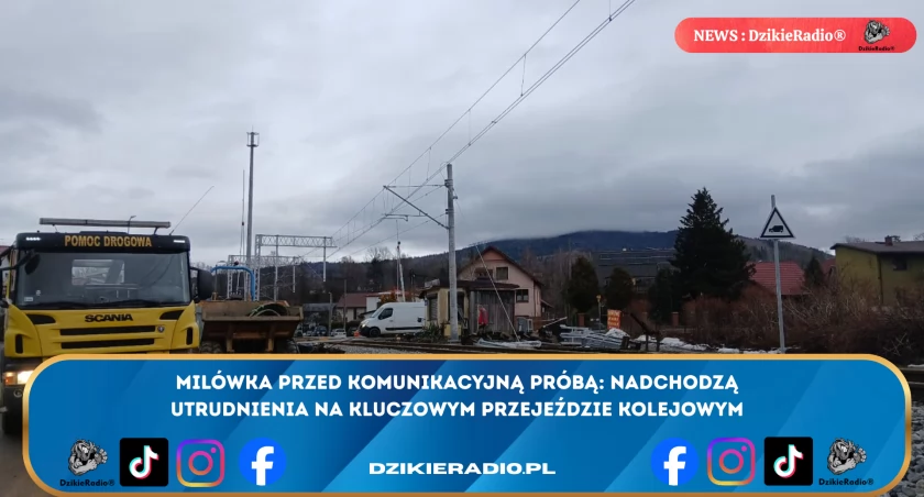 Fot: DzikieRadio®