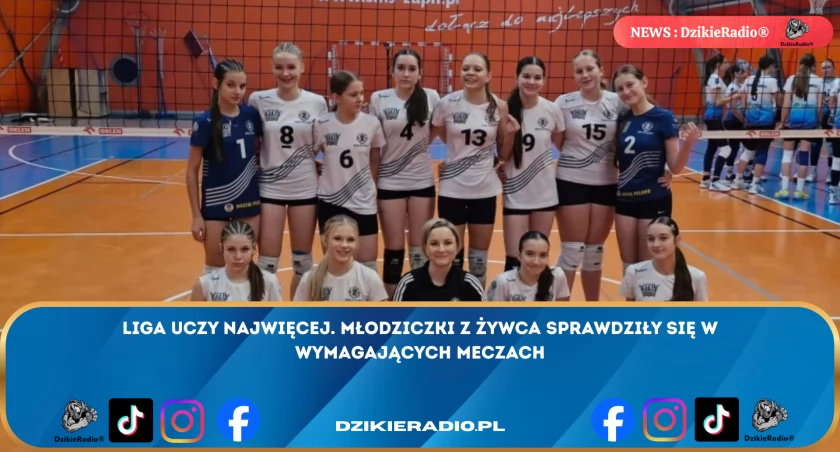 fot. TS Stal Śrubiarnia / SMS Żywiec - piłka siatkowa