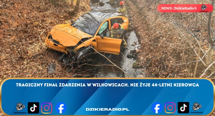 Fot: Komenda Miejska Państwowej Straży Pożarnej w Bielsku-Białej 