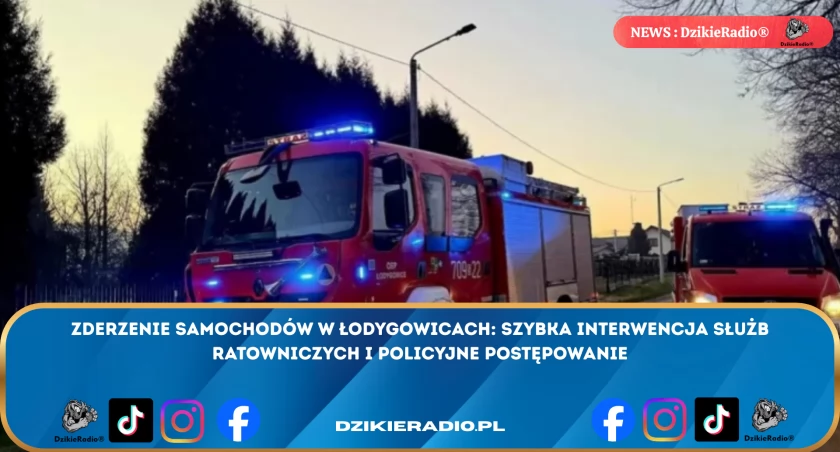 Fot. OSP Łodygowice