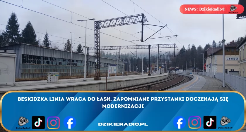 Fot: DzikieRadio®