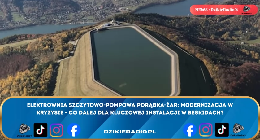 Fot: DzikieRadio®