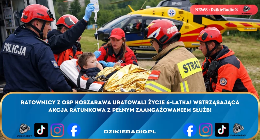 Fot. Podglądowe 