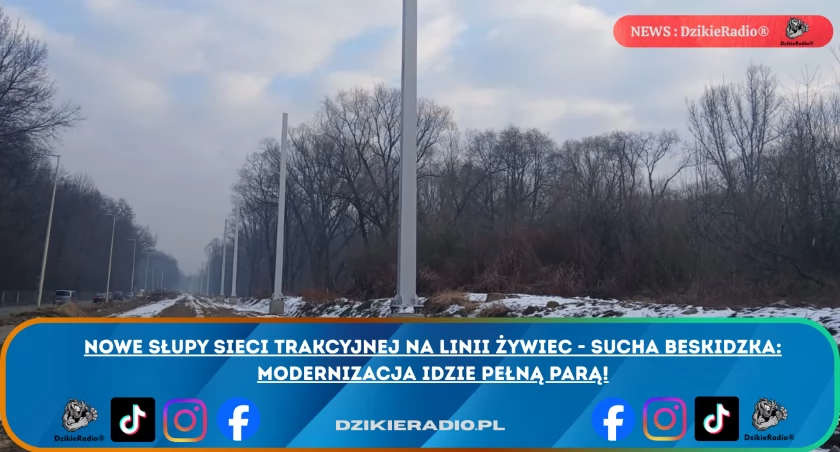 Fot: DzikieRadio®