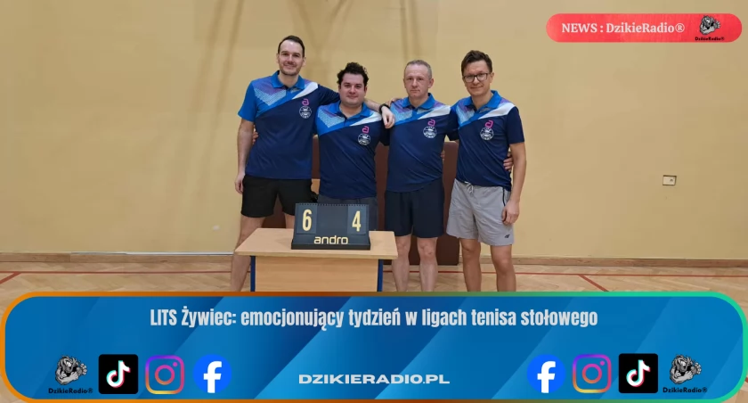 Fot: LITS Meble Anders Żywiec