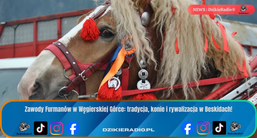 Fot. Dzikieradio.pl
