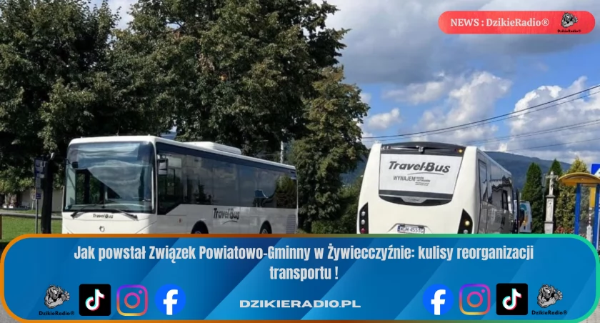 Fot: Travel Bus