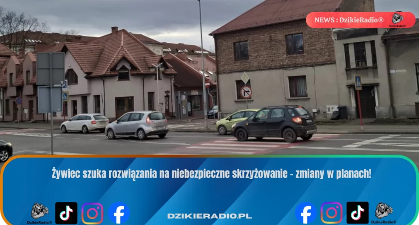 Fot: DzikieRadio®