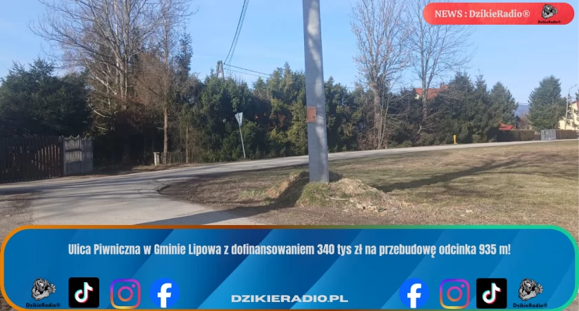 Fot. Dzikieradio.pl