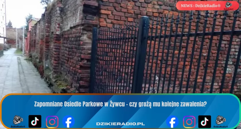 Fot: DzikieRadio®