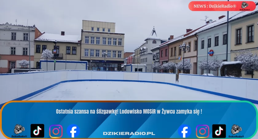 Fot: DzikieRadio®