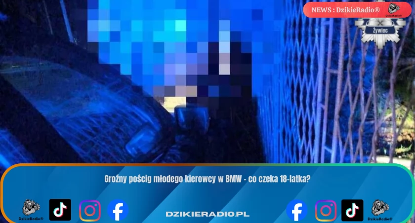 Fot: Komenda Powiatowa Policji w Żywcu