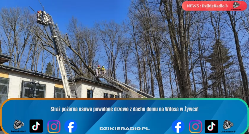  fot. OSP Gilowice