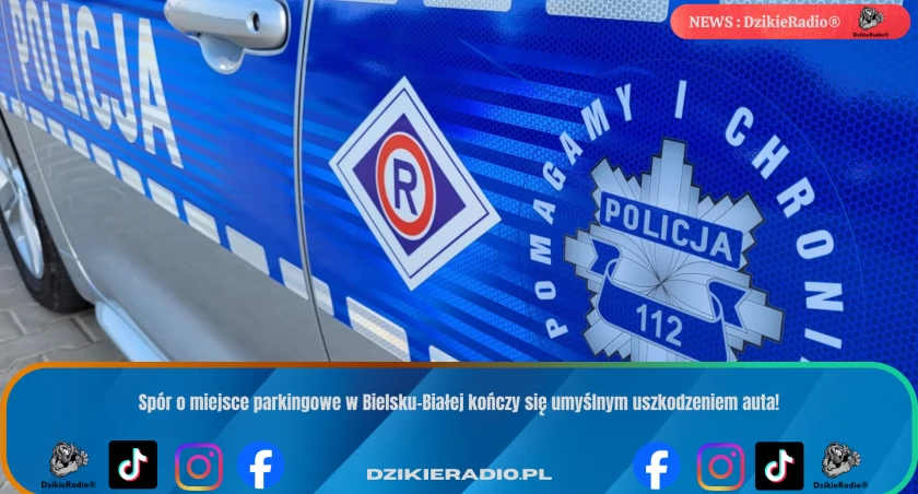 Fot: Policja Bielsko-Biała