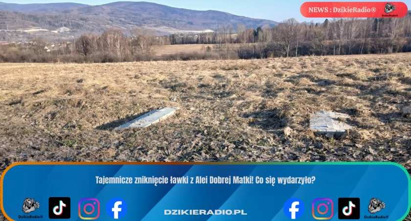 Fot: DzikieRadio®