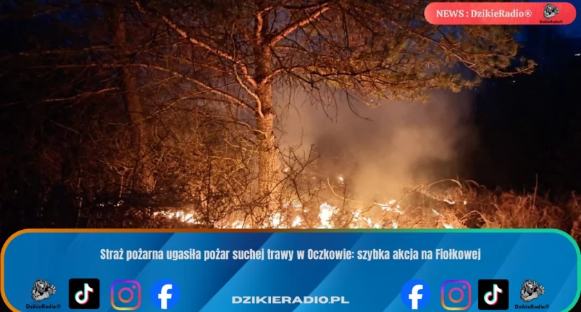 Zdj. OSP oczków