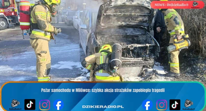 zdj.Osp Milówka