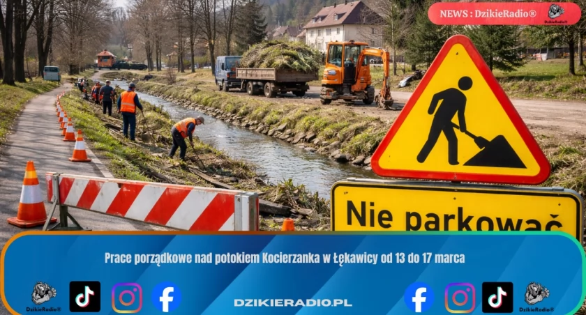 zdj. poglądowe
