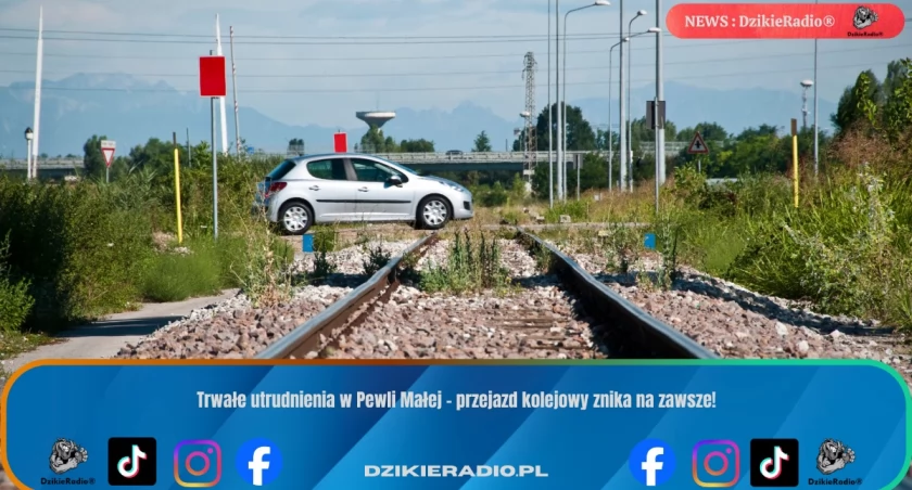 Zdj. poglądowe