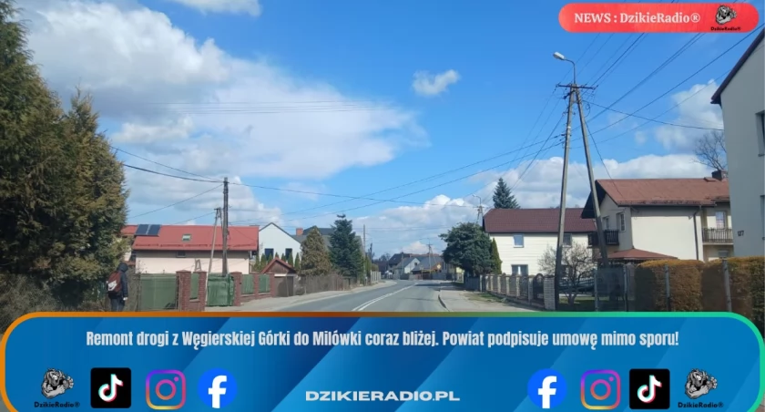 Fot: DzikieRadio®