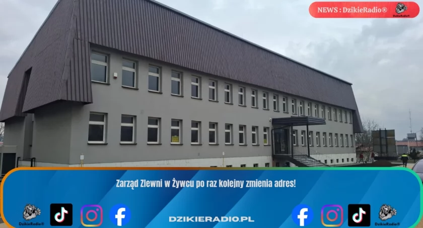 Fot: DzkieRadio®