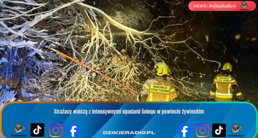 zdj. Osp Koszarawa