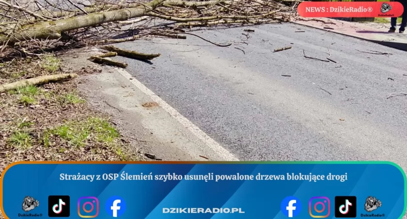 Zdj.OSP Ślemień