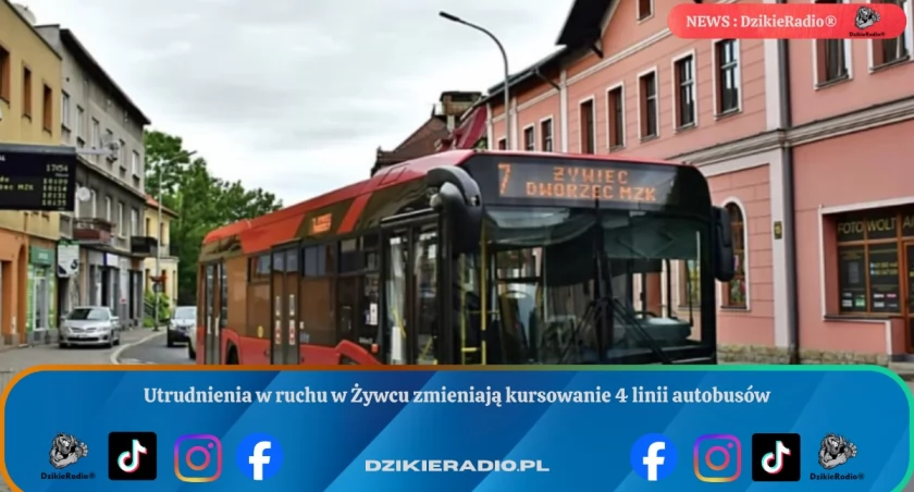 Fot: DzikieRadio®