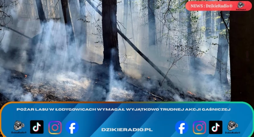 Zdj. Osp Łodygowice
