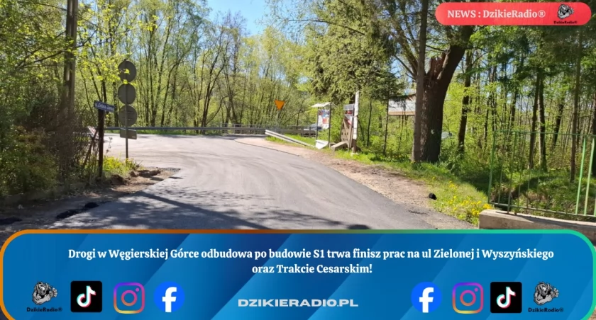 Fot. Dzikieradio.pl